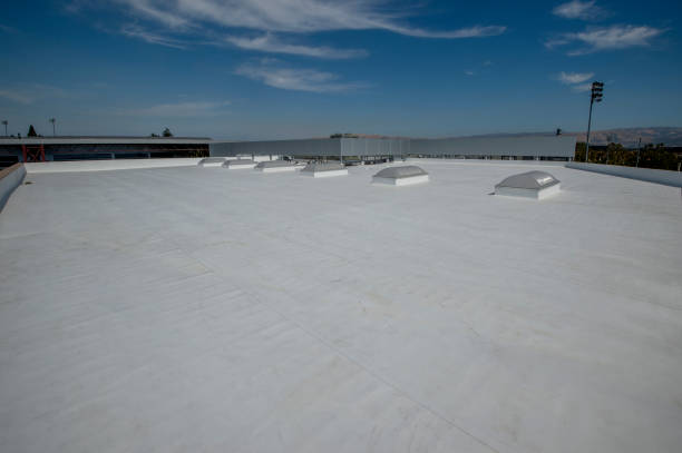 Best Sheet Metal Roofing  in Plano, KY