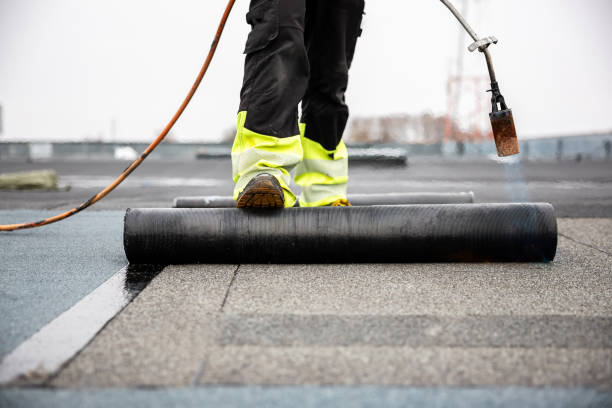 Best Roof Leak Repair  in Plano, KY