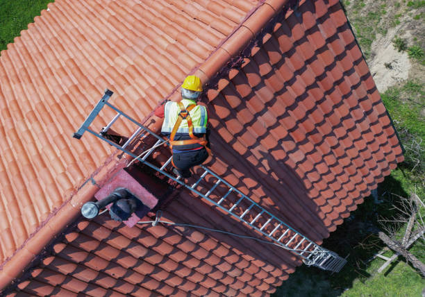 Best Asphalt Shingles Roofing  in Plano, KY
